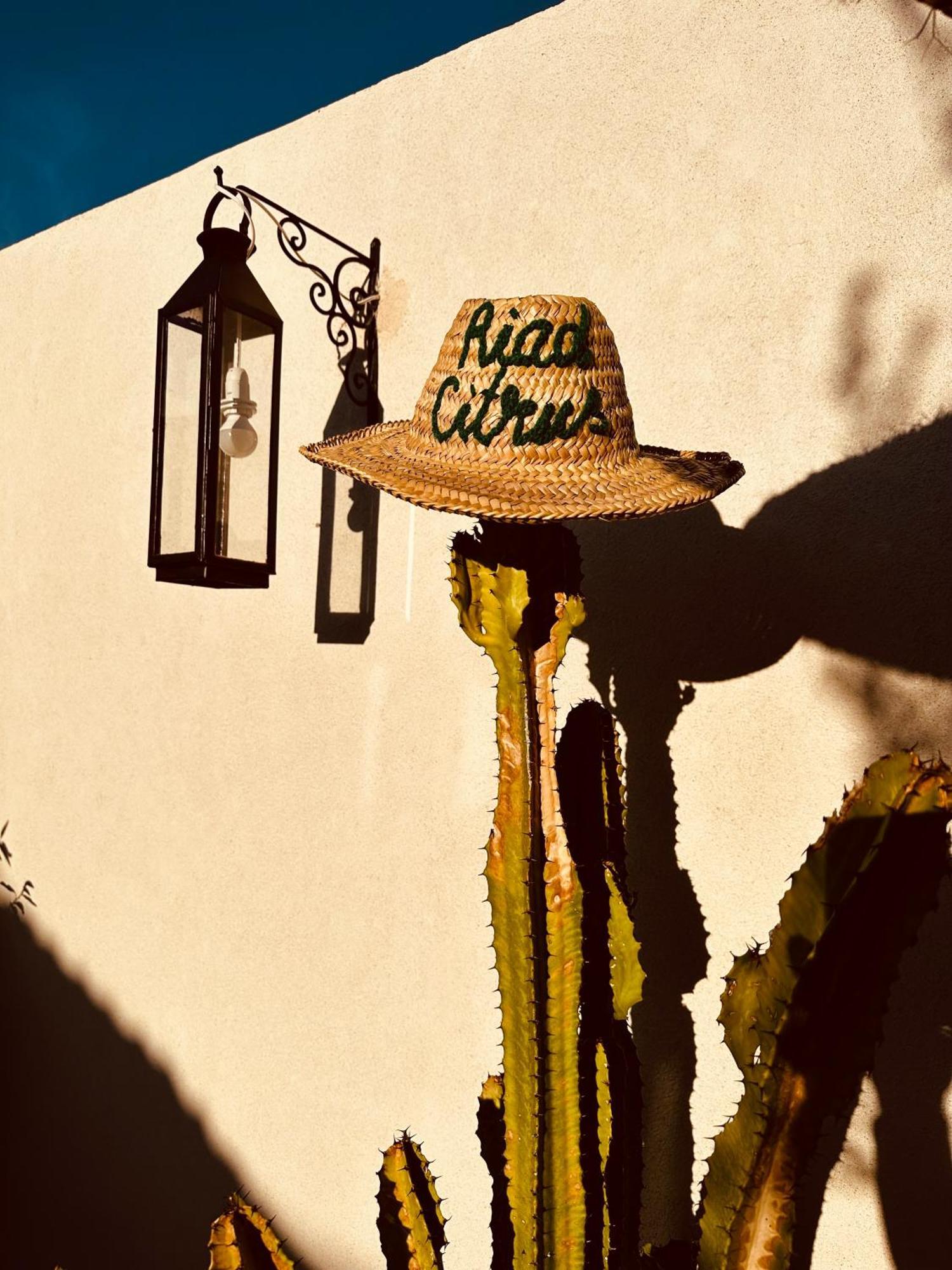 Riad Citrus By La Siredrah Marrakesch Exterior foto